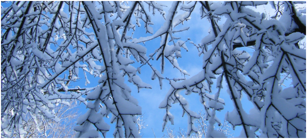 Snowball