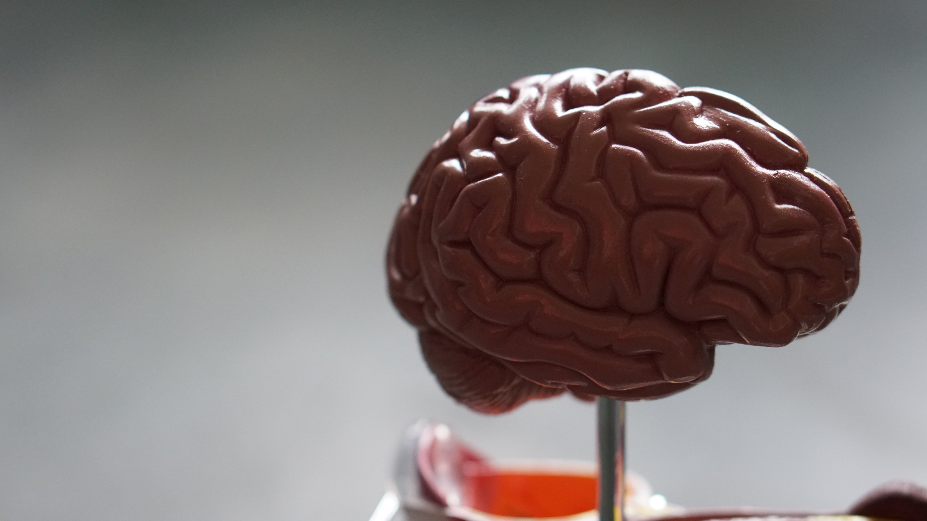 Experimental Design in Neurobiology