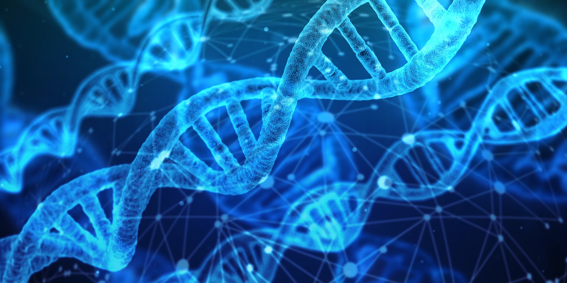 Nucleic Acids