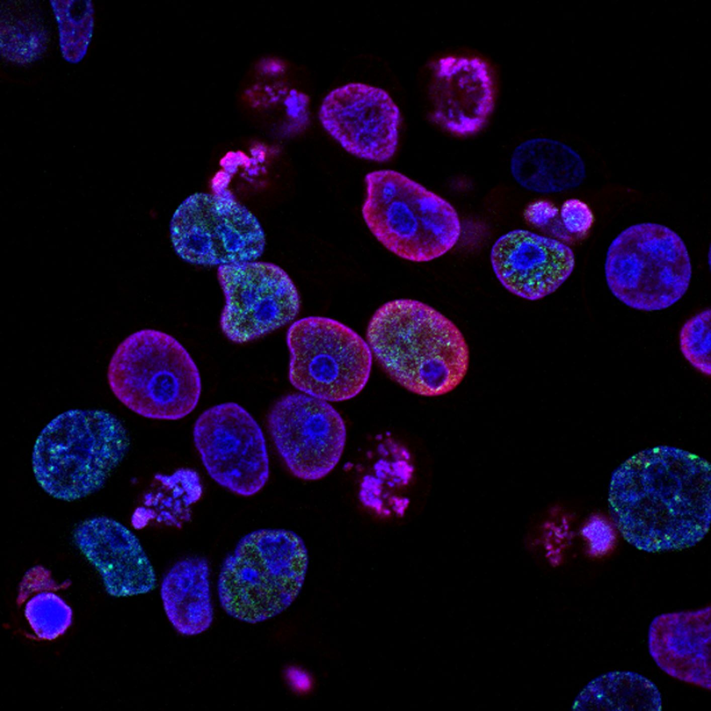 Call Me By My Organelle