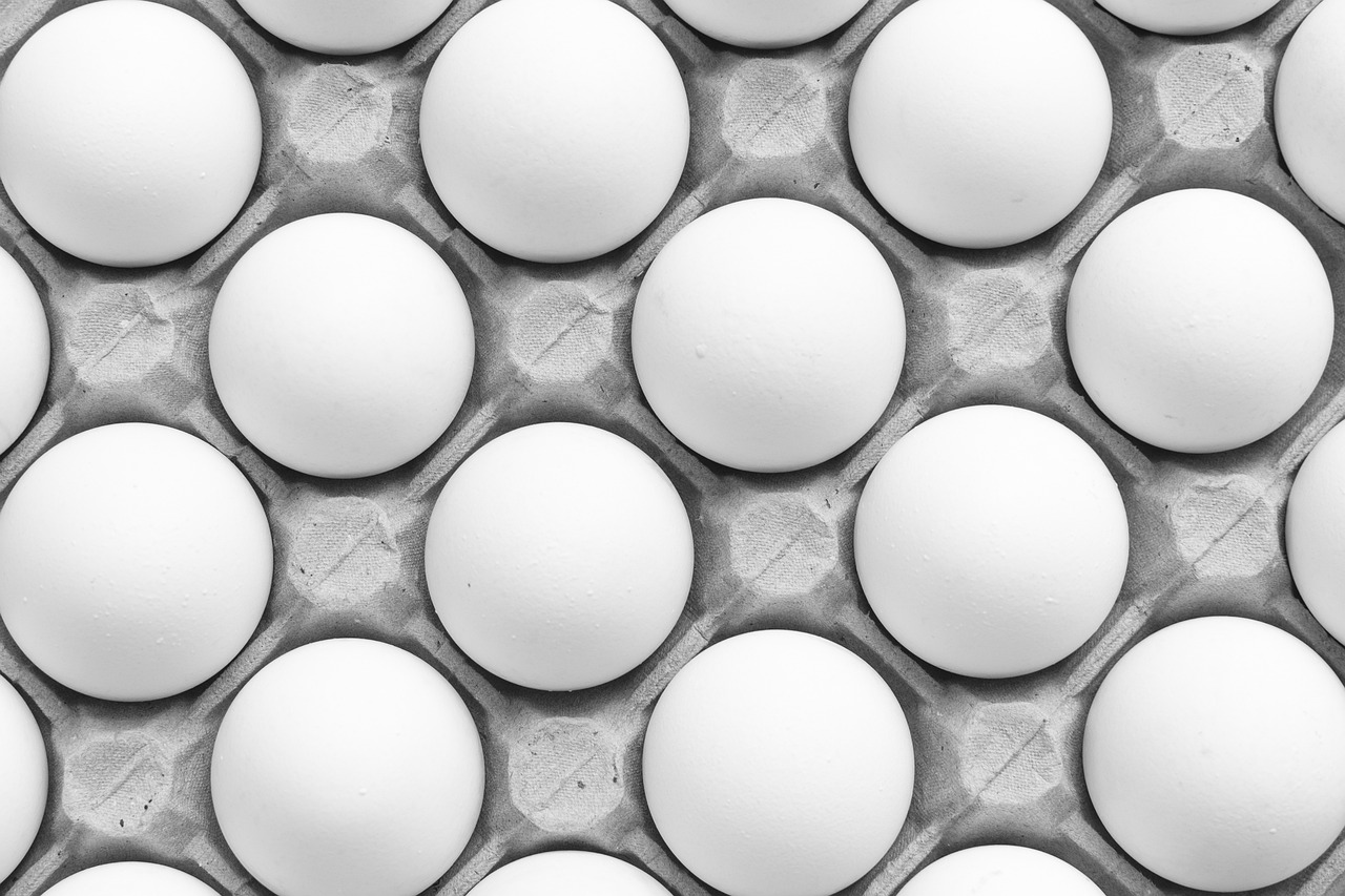 More Than One Way to Cook an Egg: Exploring Gardner’s Theory of Multiple Intelligences