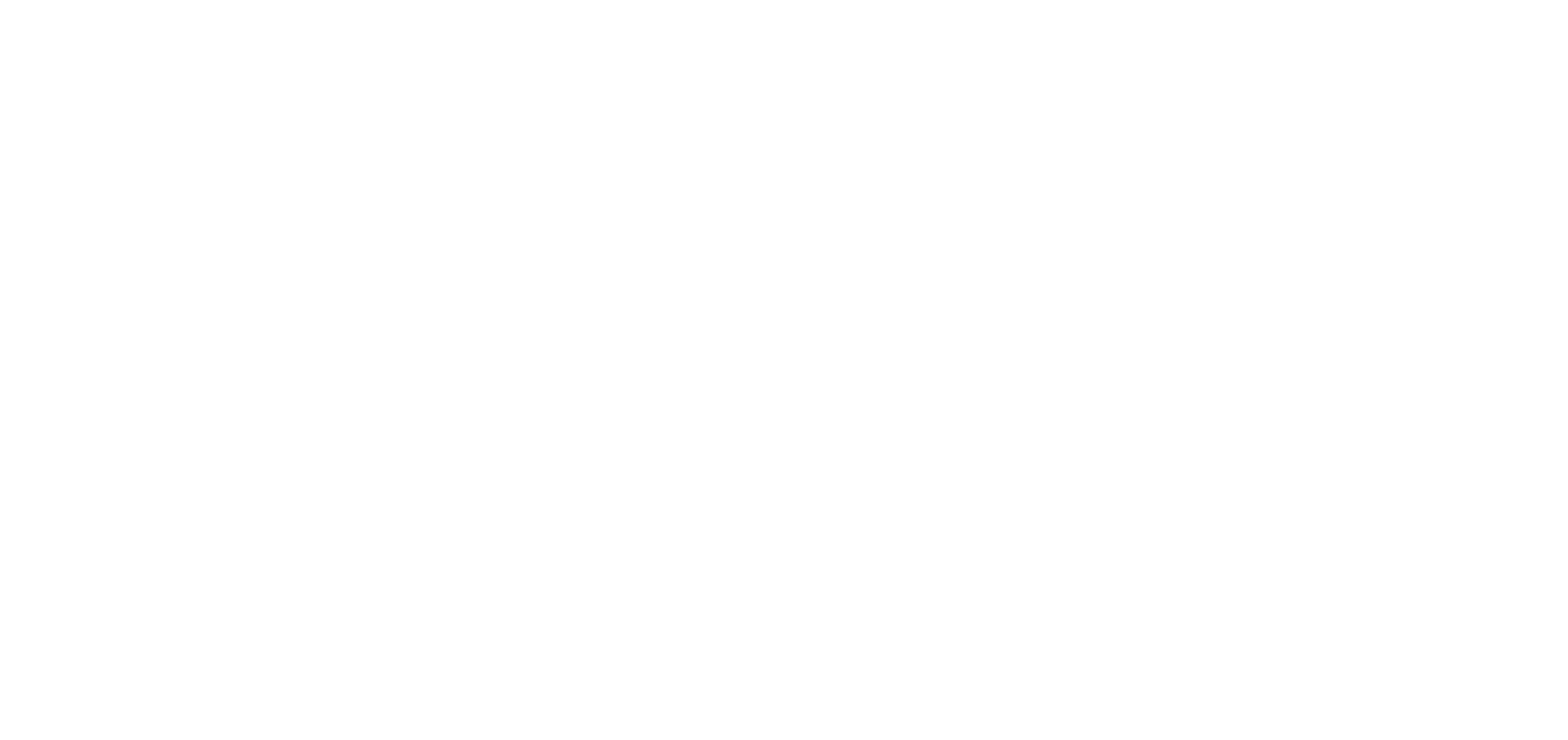 SALTISE Fellows Program